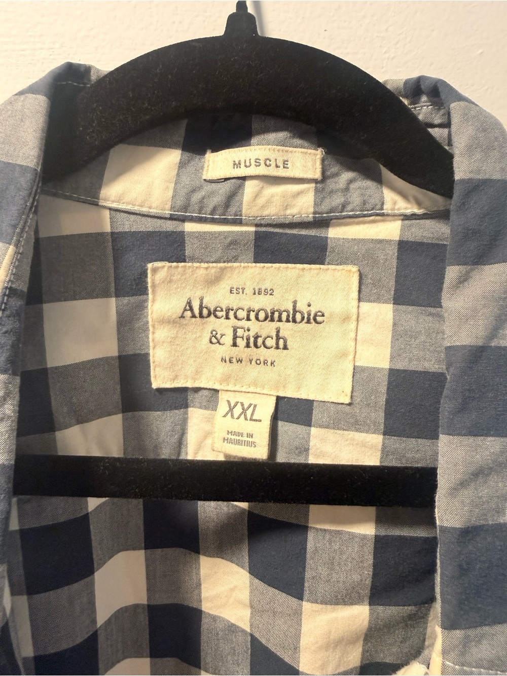Abercrombie & Fitch Blue and White Buffalo Check Button-Up Shirt